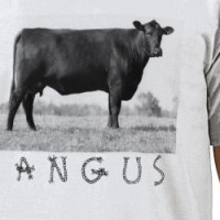 Angus Beef Cow T-shirt