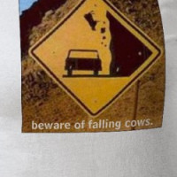 Falling Cow T-shirt