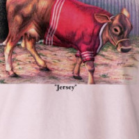 'Jersey' T-shirt